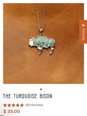 NWT Antler Rings Bison necklace